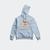 Wilder Hoodie Arctic Mist