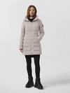 Clair Coat Black Label Lucent Rose